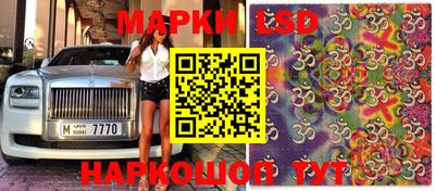 стаф Тара