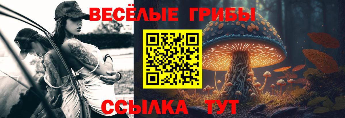 Галлюциногенные грибы прущие грибы Аша